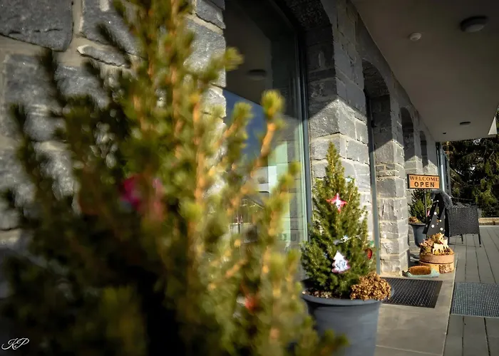 Appartement Kuckucks *